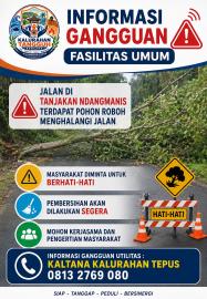 Informasi Gangguan Jalan Umum : Bambu dan Kayu yang Roboh Halangi Jalan Raya